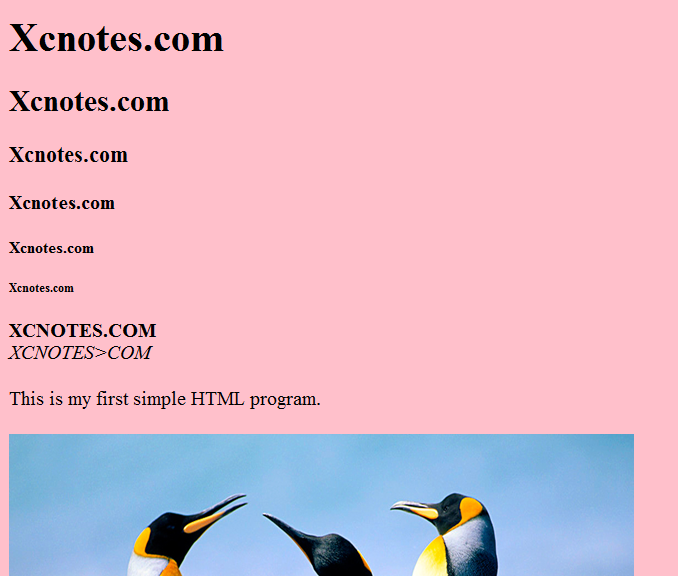 Basics of HTML