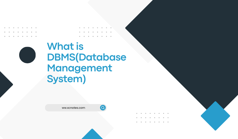 What is DBMS(Database Management System)